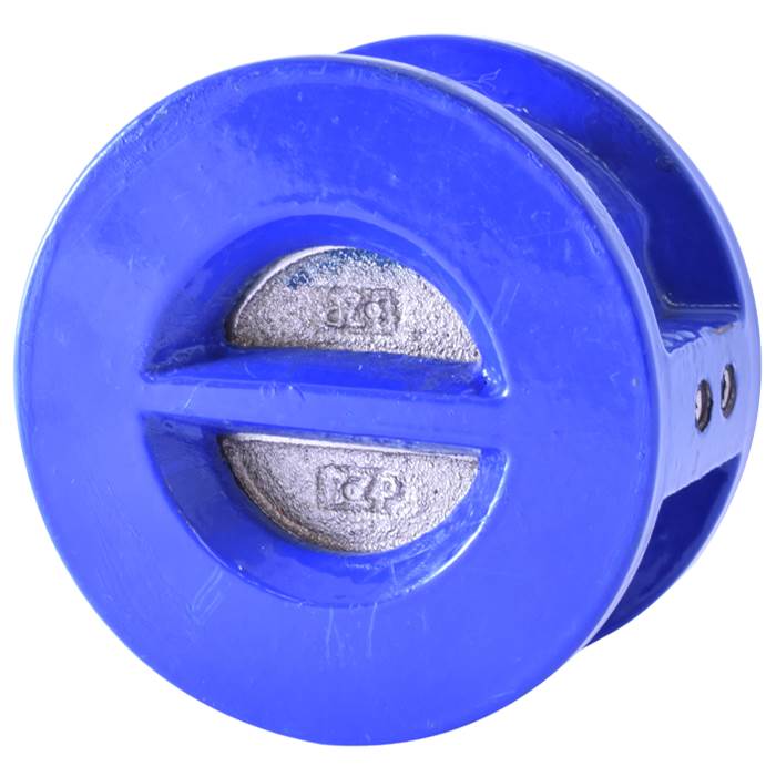 Legend Valve 5'' T-312 Ductile Iron Wafer Check Valve, Stainless Steel Disc