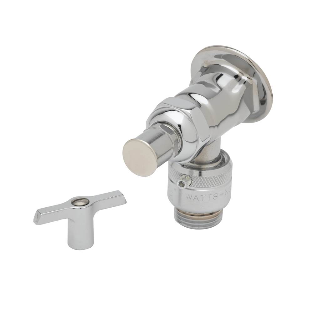 T&S Brass Sill Faucet, Vacuum Breaker, 3/4'' NPT Female Flanged Inlet, 3/4'' Hose Threads, Polished